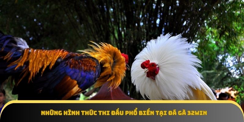 Đá gà 32Win luôn cập nhật đa dạng các giải đấu hấp dẫn